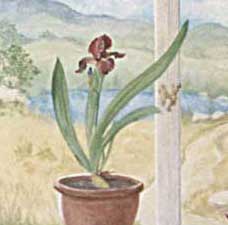 Trompe L'Oeil Window 1